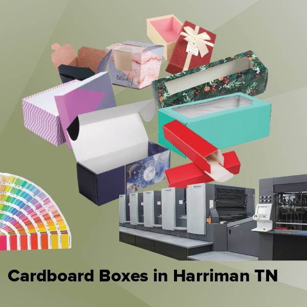 Cardboard boxes in harriman tn