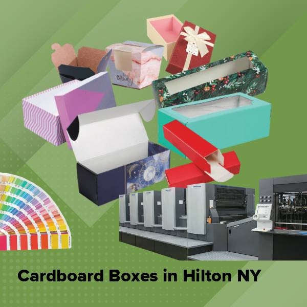 Cardboard boxes in hilton ny
