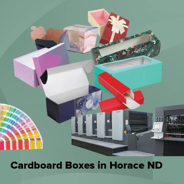 Cardboard boxes in horace nd