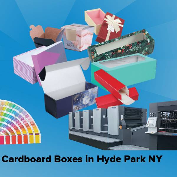 Cardboard boxes in hyde park ny