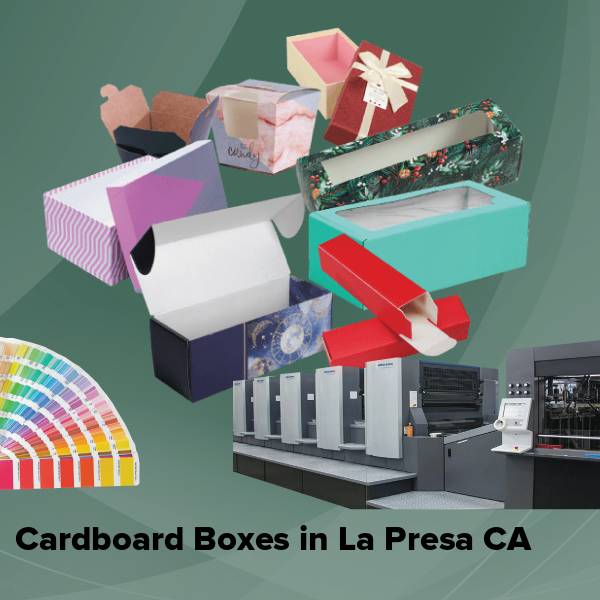 Cardboard boxes in la presa ca