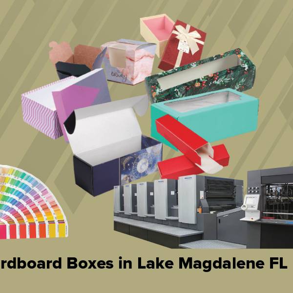 Cardboard boxes in lake magdalene fl