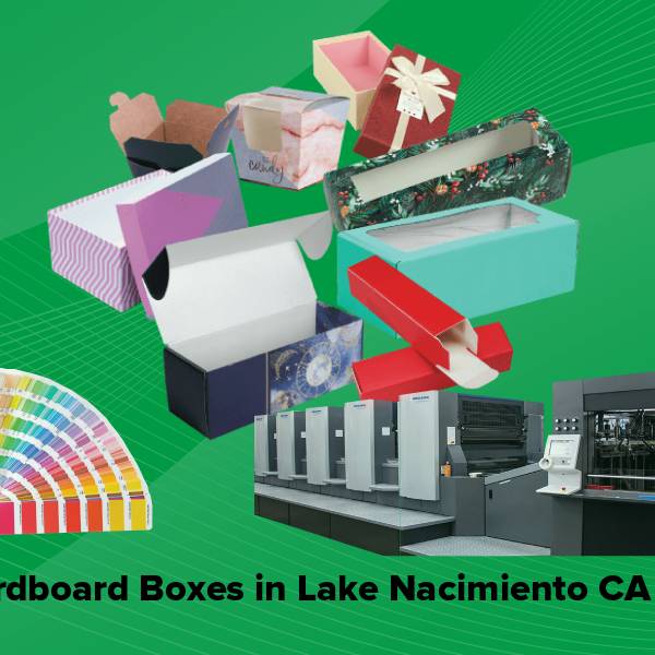 Cardboard boxes in lake nacimiento ca