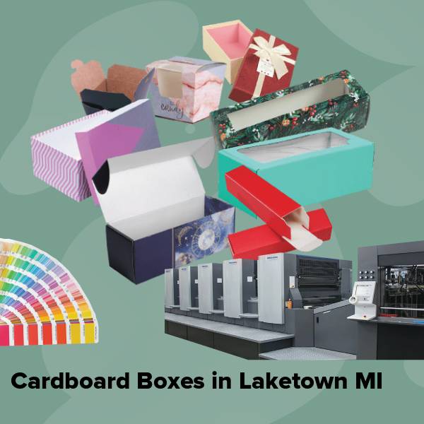 Cardboard boxes in laketown mi
