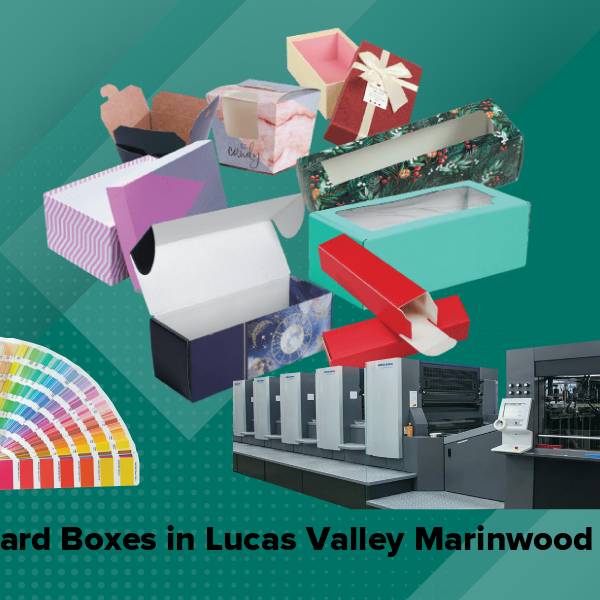 Cardboard boxes in lucas valley marinwood ca