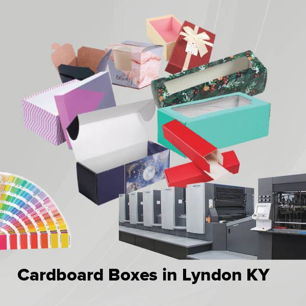 Cardboard boxes in lyndon ky