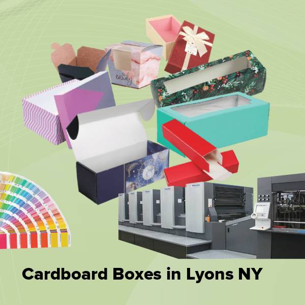 Cardboard boxes in lyons ny