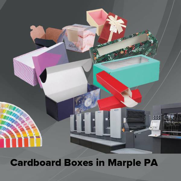 Cardboard boxes in marple pa