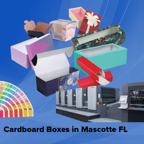 Cardboard boxes in mascotte fl