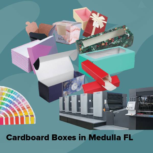 Cardboard boxes in medulla fl