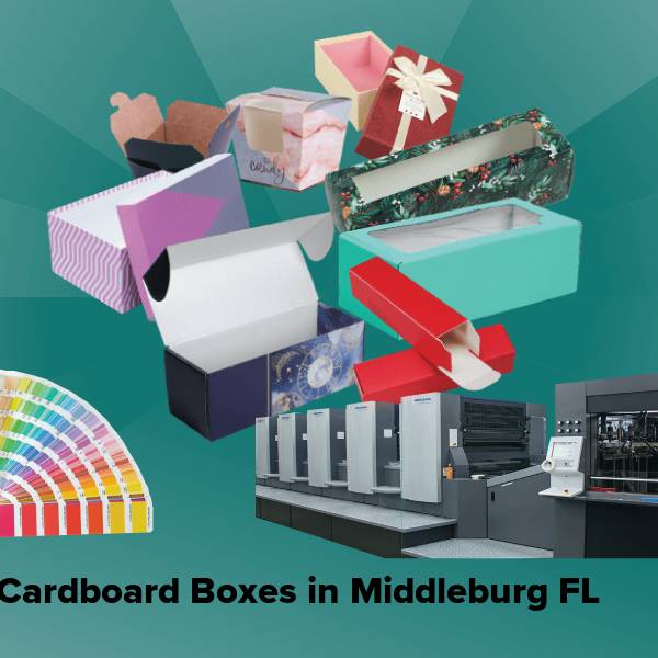 Cardboard boxes in middleburg fl