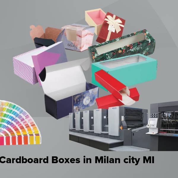 Cardboard boxes in milan city mi