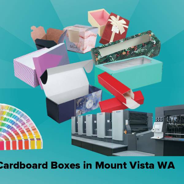 Cardboard boxes in mount vista wa
