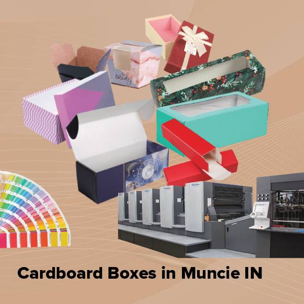 Cardboard boxes in muncie in