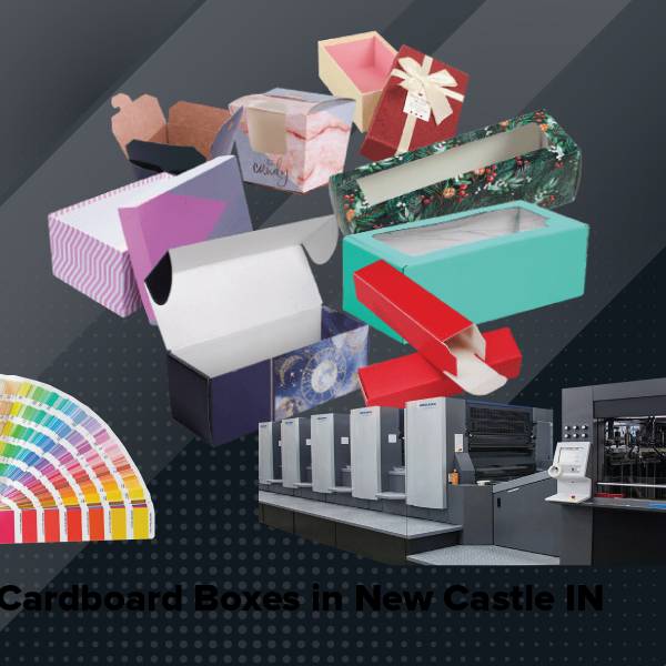 Cardboard boxes in new castle in