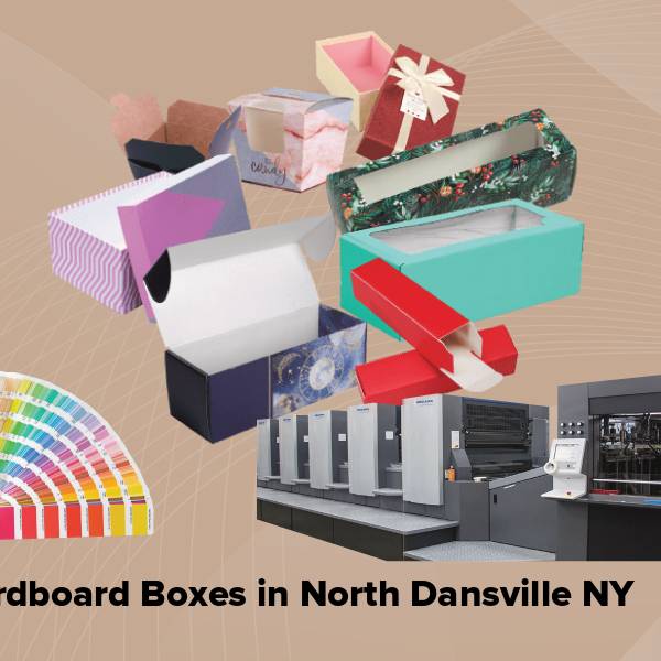 Cardboard boxes in north dansville ny