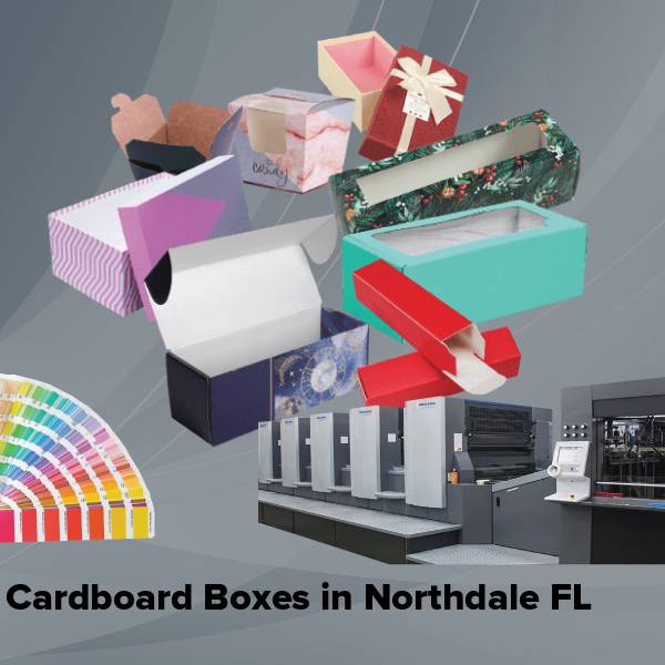 Cardboard boxes in northdale fl
