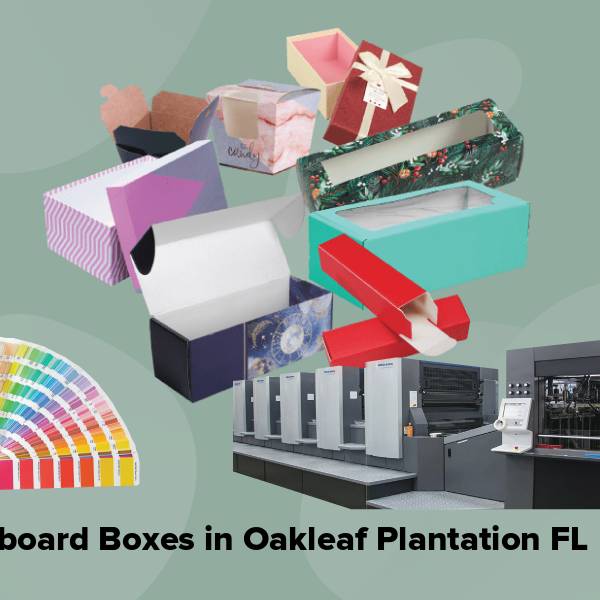 Cardboard boxes in oakleaf plantation fl
