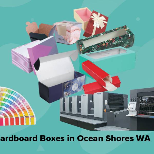 Cardboard boxes in ocean shores wa