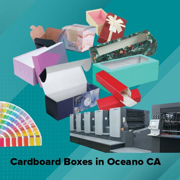 Cardboard boxes in oceano ca