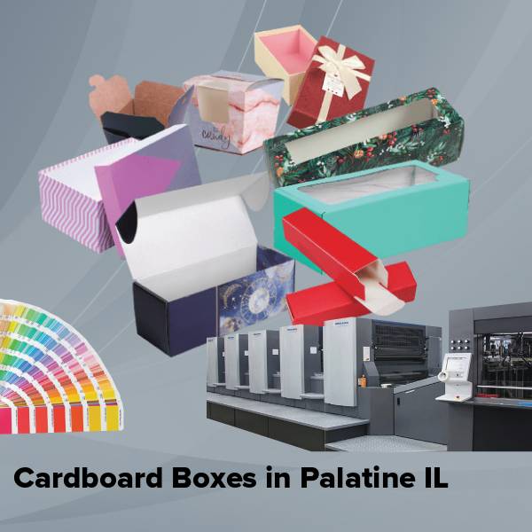 Cardboard boxes in palatine il
