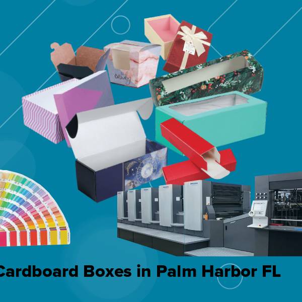 Cardboard boxes in palm harbor fl