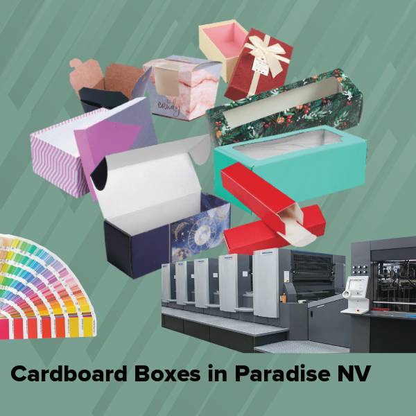 Cardboard boxes in paradise nv
