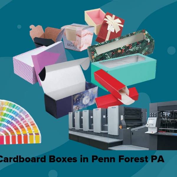 Cardboard boxes in penn forest pa