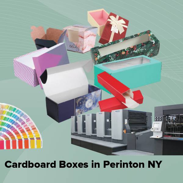 Cardboard boxes in perinton ny