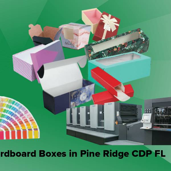 Cardboard boxes in pine ridge cdp fl