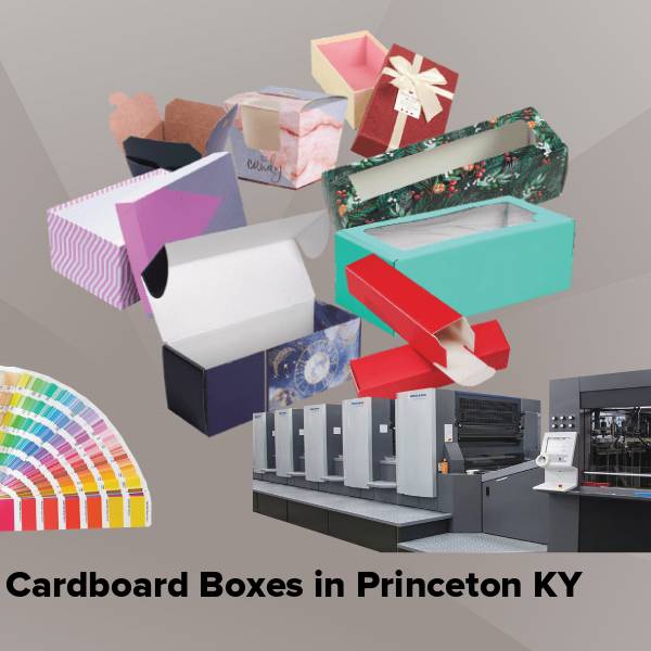 Cardboard boxes in princeton ky