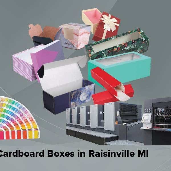 Cardboard boxes in raisinville mi