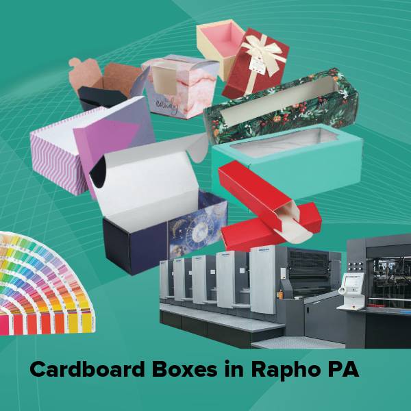 Cardboard boxes in rapho pa
