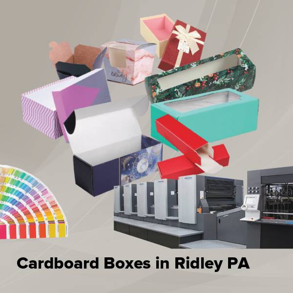 Cardboard boxes in ridley pa