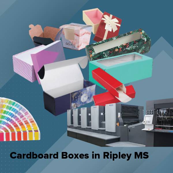 Cardboard boxes in ripley ms