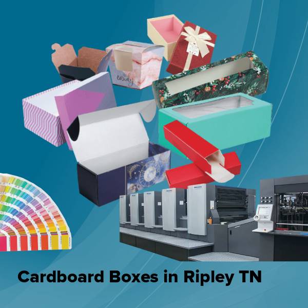Cardboard boxes in ripley tn
