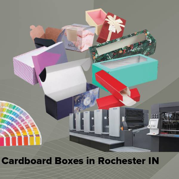 Cardboard boxes in rochester in