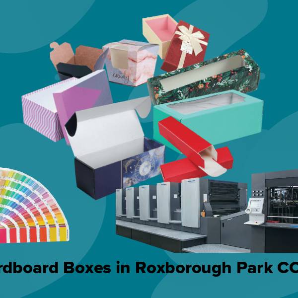 Cardboard boxes in roxborough park co