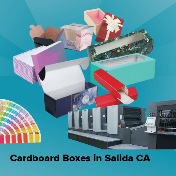 Cardboard boxes in salida ca