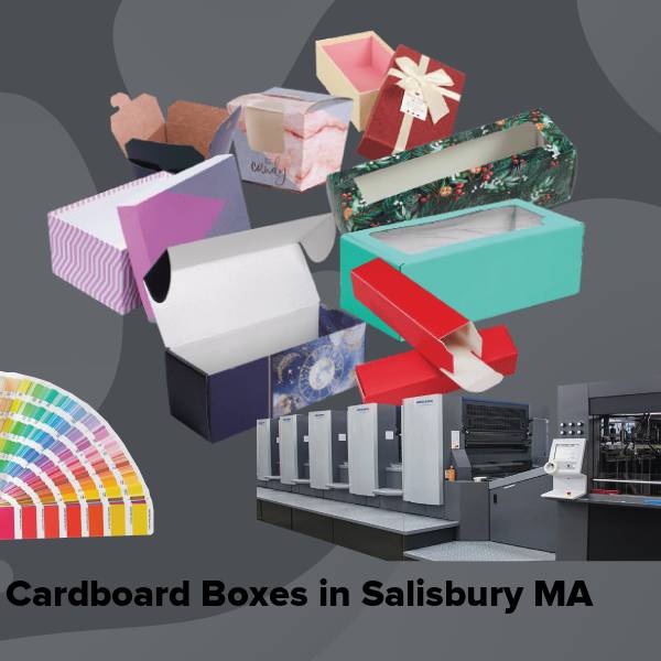Cardboard boxes in salisbury ma