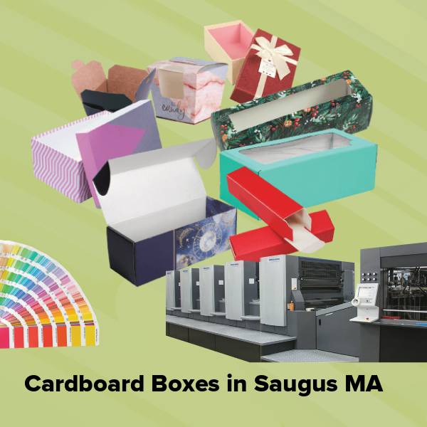 Cardboard boxes in saugus ma