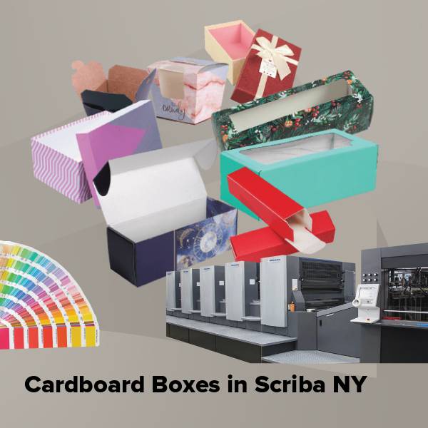 Cardboard boxes in scriba ny
