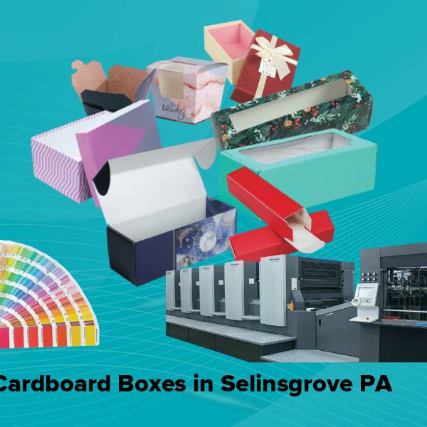 Cardboard boxes in selinsgrove pa