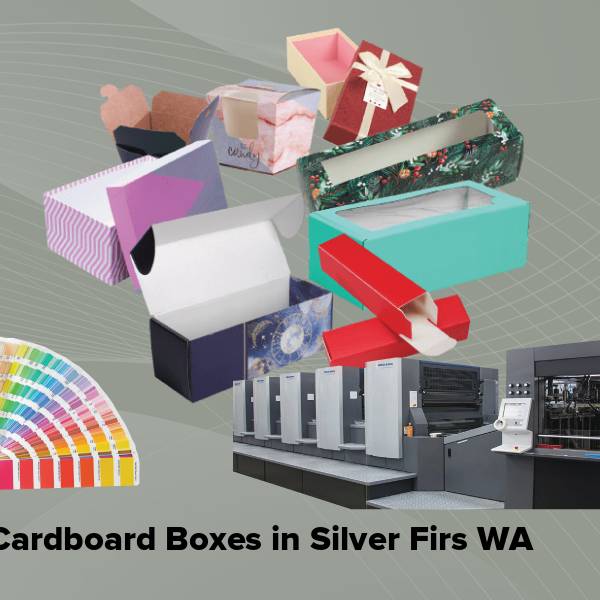 Cardboard boxes in silver firs wa