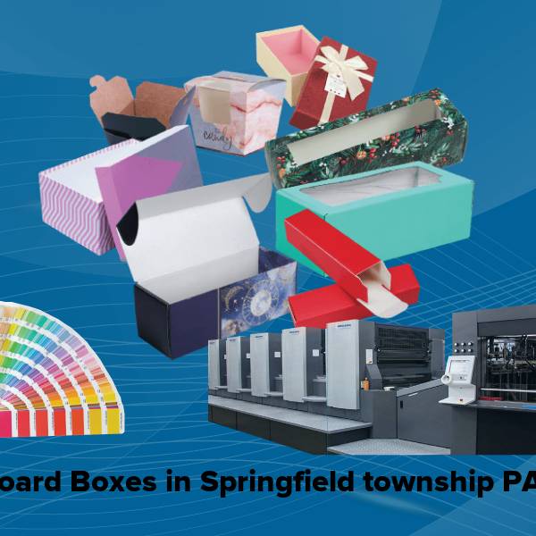 Cardboard boxes in springfield township pa