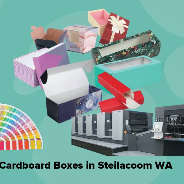 Cardboard boxes in steilacoom wa