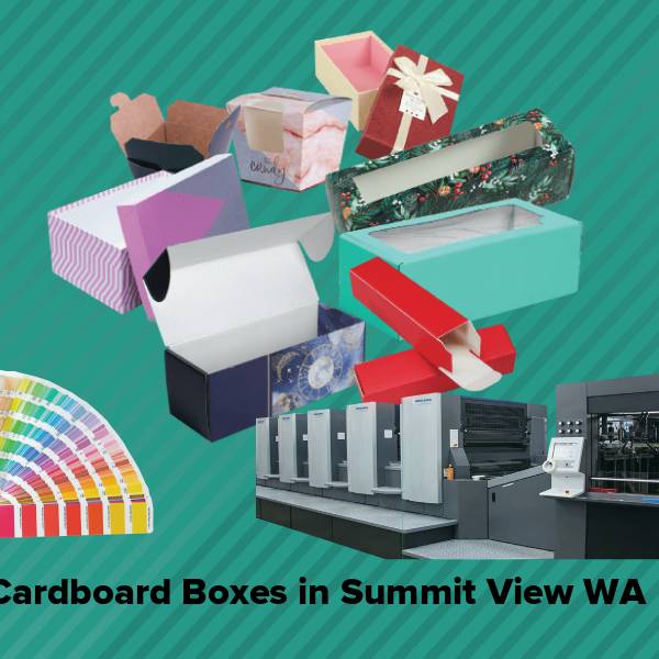 Cardboard boxes in summit view wa