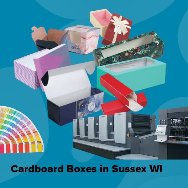 Cardboard boxes in sussex wi