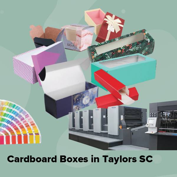 Cardboard boxes in taylors sc