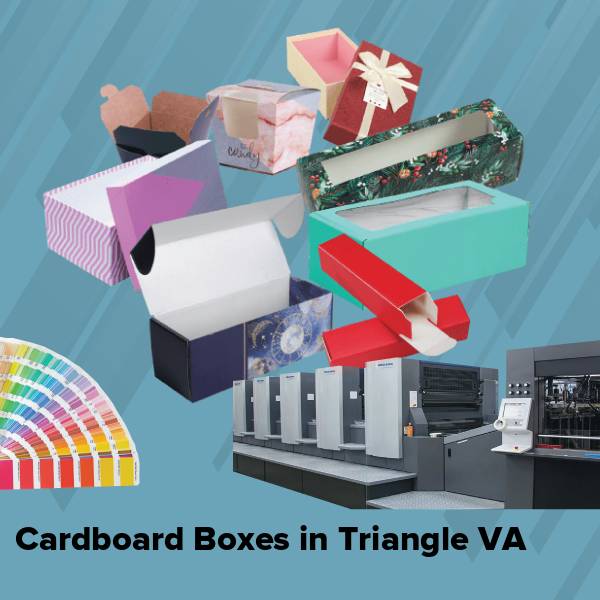 Cardboard boxes in triangle va